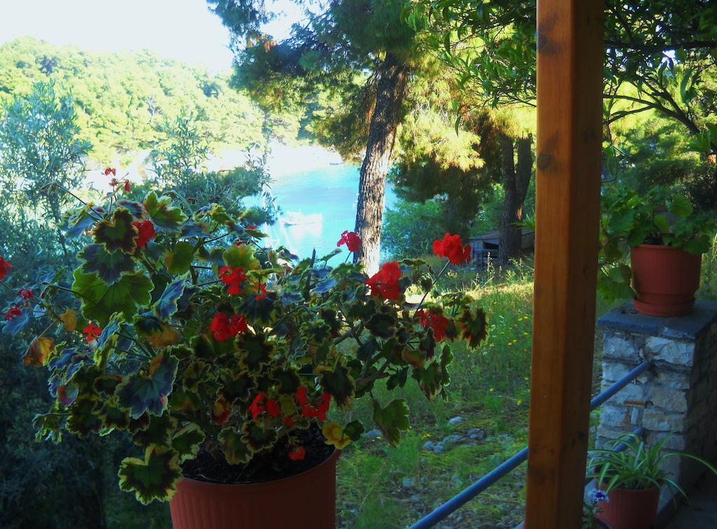 Magdalini Hotel Votsi  Екстериор снимка